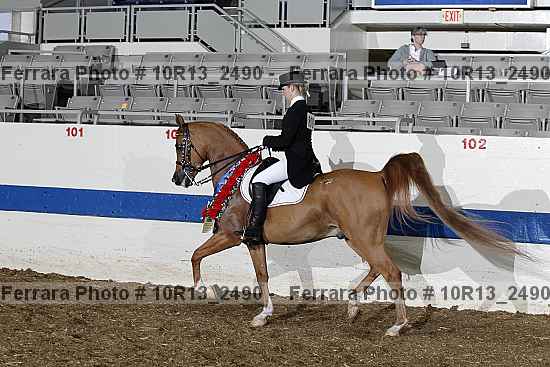 Proof 10r13_2490