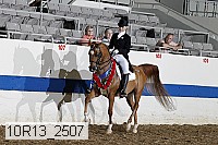 10r13_2507 proof