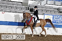 10r13_2508 proof