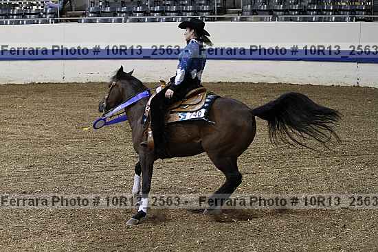 Proof 10r13_2563