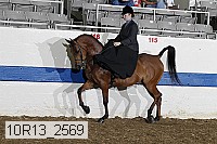10r13_2569 proof