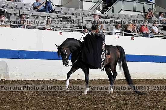 Proof 10r13_2588