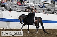 10r13_2589 proof