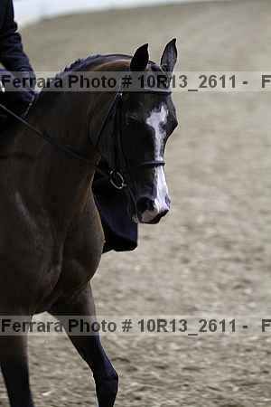 Proof 10r13_2611
