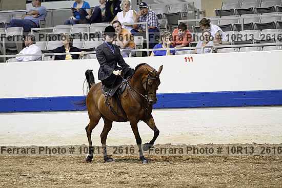 Proof 10r13_2616