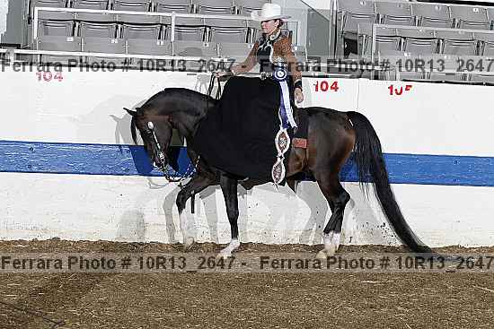 Proof 10r13_2647