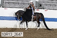 10r13_2647 proof