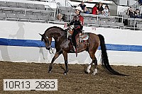 10r13_2663 proof
