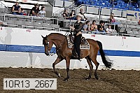 10r13_2667 proof
