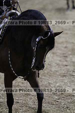 Proof 10r13_2669