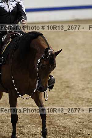Proof 10r13_2677