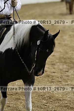 Proof 10r13_2679