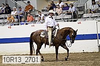 10r13_2701 proof