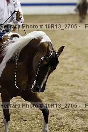Proof 10r13_2705