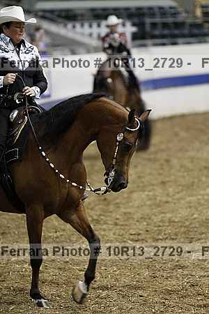 Proof 10r13_2729