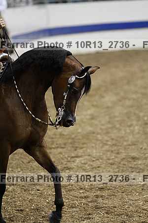 Proof 10r13_2736