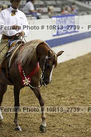 Proof 10r13_2739