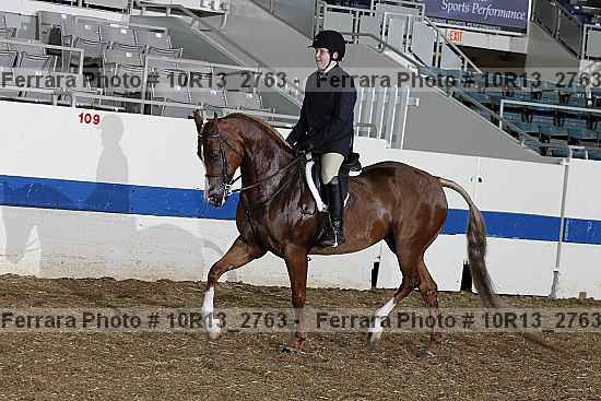 Proof 10r13_2763