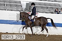 10r13_2783 proof