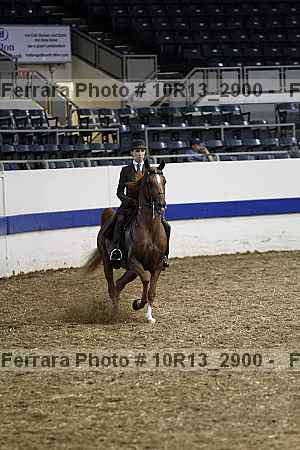 Proof 10r13_2900
