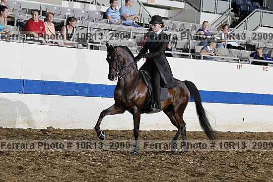 Proof 10r13_2909