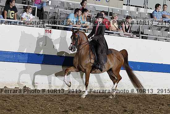 Proof 10r13_2915