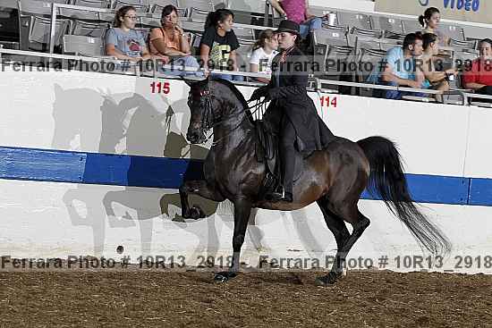 Proof 10r13_2918