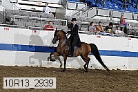 10r13_2939 proof