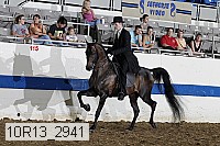 10r13_2941 proof
