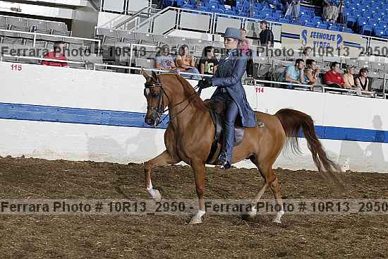 Proof 10r13_2950