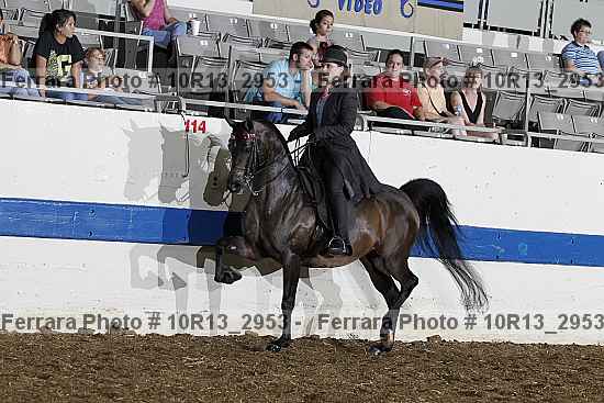 Proof 10r13_2953