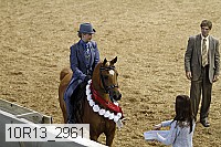 10r13_2961 proof