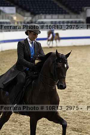 Proof 10r13_2975