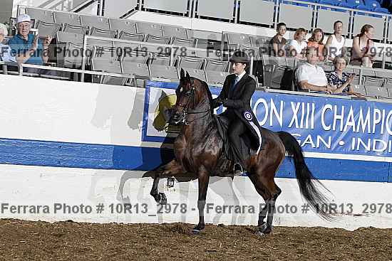 Proof 10r13_2978