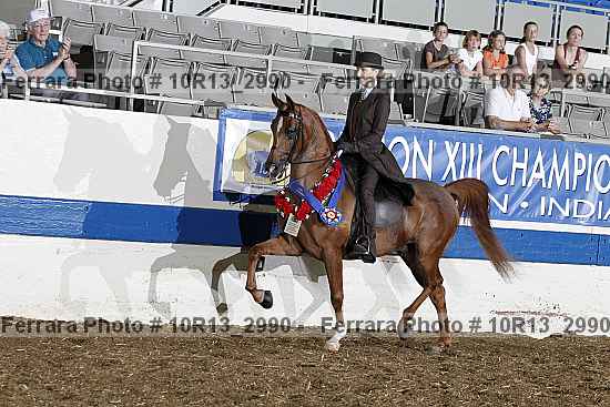 Proof 10r13_2990