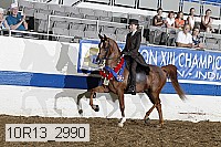 10r13_2990 proof