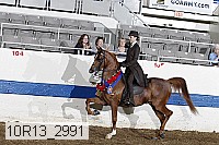 10r13_2991 proof