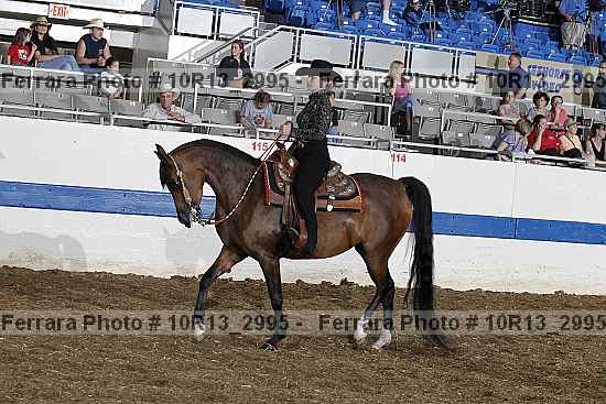 Proof 10r13_2995