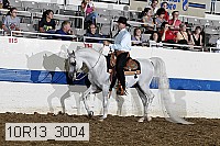 10r13_3004 proof