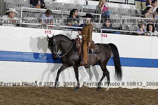 Proof 10r13_3008