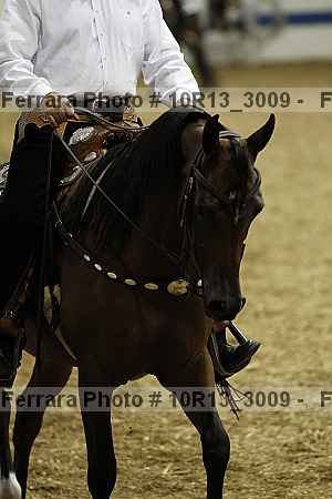 Proof 10r13_3009