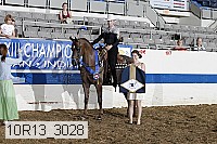 10r13_3028 proof