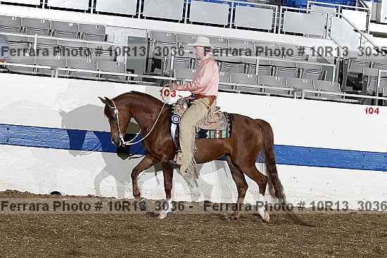 Proof 10r13_3036