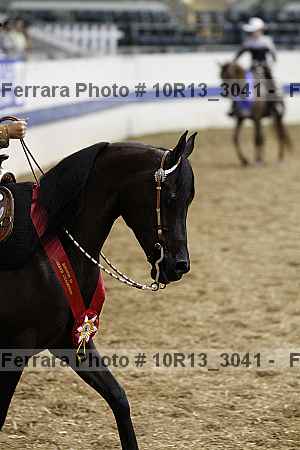 Proof 10r13_3041