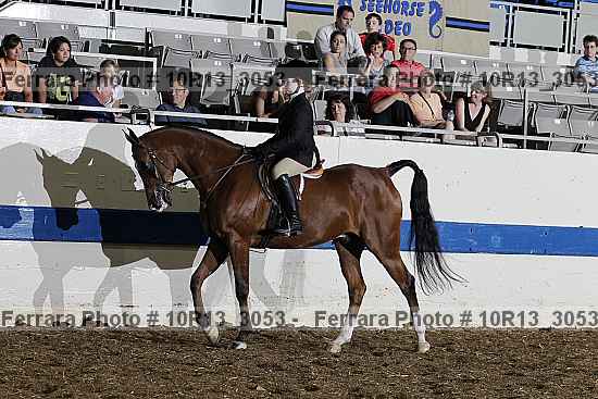 Proof 10r13_3053