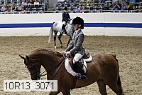 10r13_3071 proof