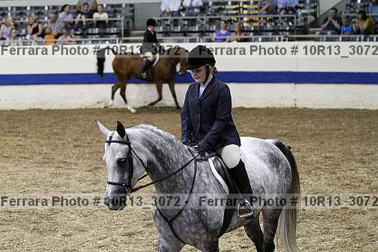 Proof 10r13_3072