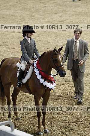 Proof 10r13_3077