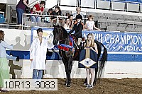 10r13_3083 proof