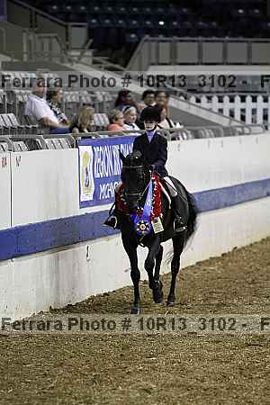 Proof 10r13_3102